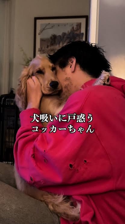 【ペット】愛情表現の1つ「犬吸い」「猫吸い」は危険? ペットの犬や猫の体に鼻先をうずめて大きく息を吸う行為に潜む“健康リスク”を専門家が指摘