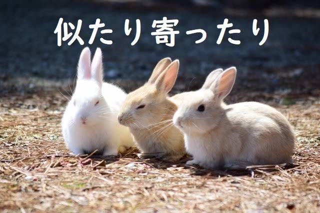 「私たち似てるよね〜」と言われたらどう返しますか？