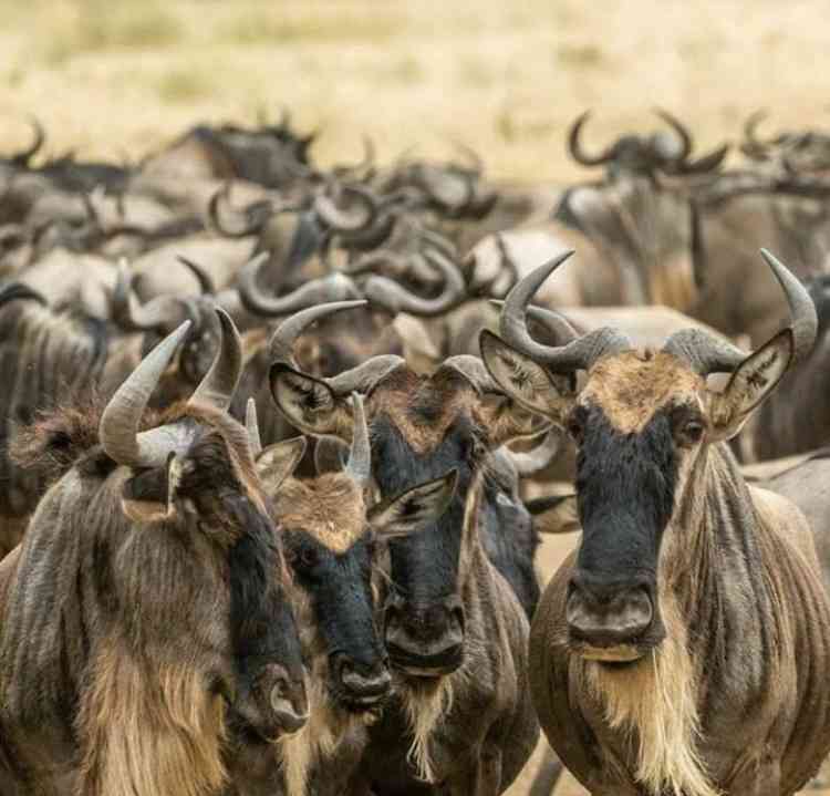 【定期】鬼滅の刃で彼氏にしたいキャラ Part17【妄想】