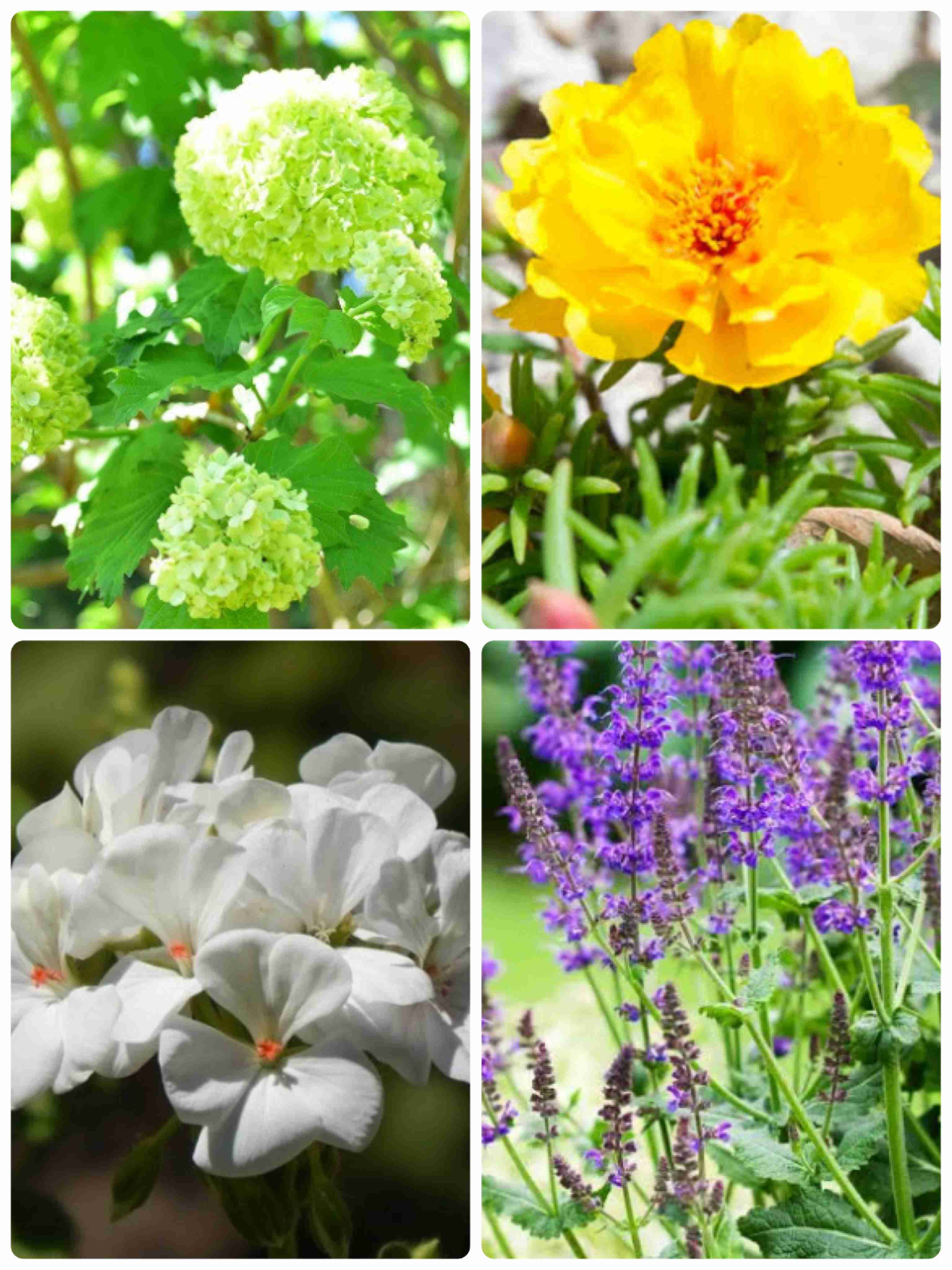 【定期】鬼滅の刃で彼氏にしたいキャラ Part17【妄想】