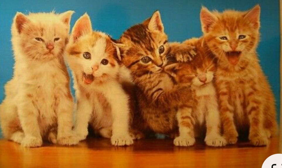 一目で昭和を感じさせてください Part2