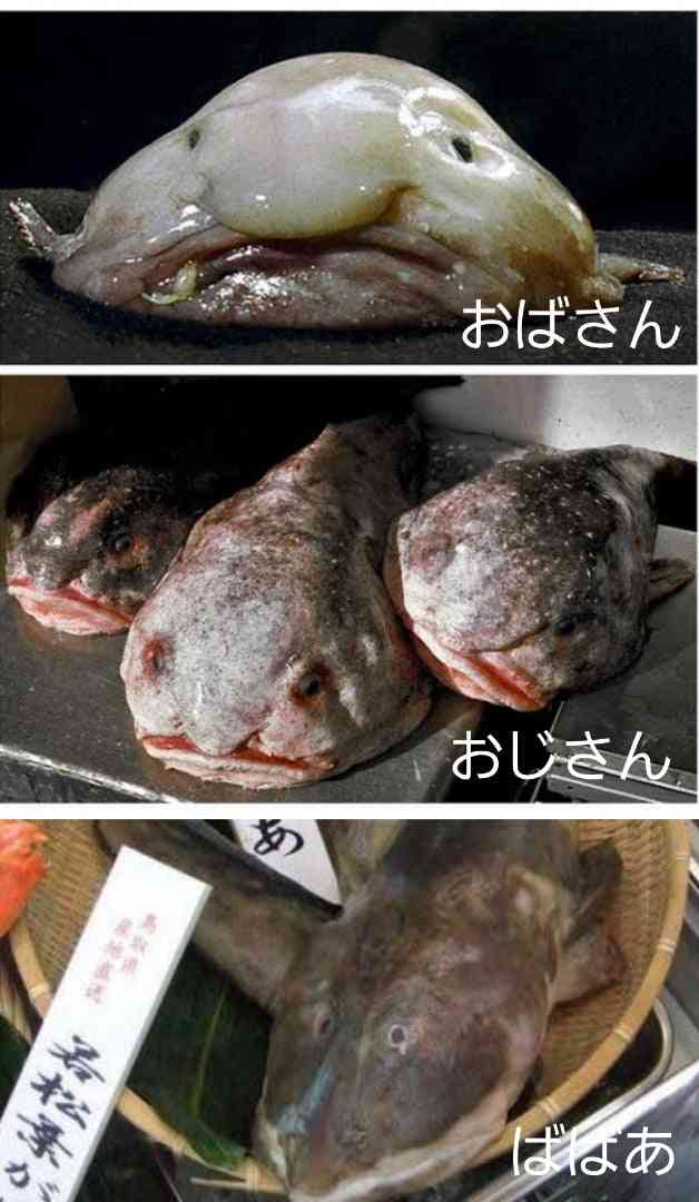 よく男に間違われる人