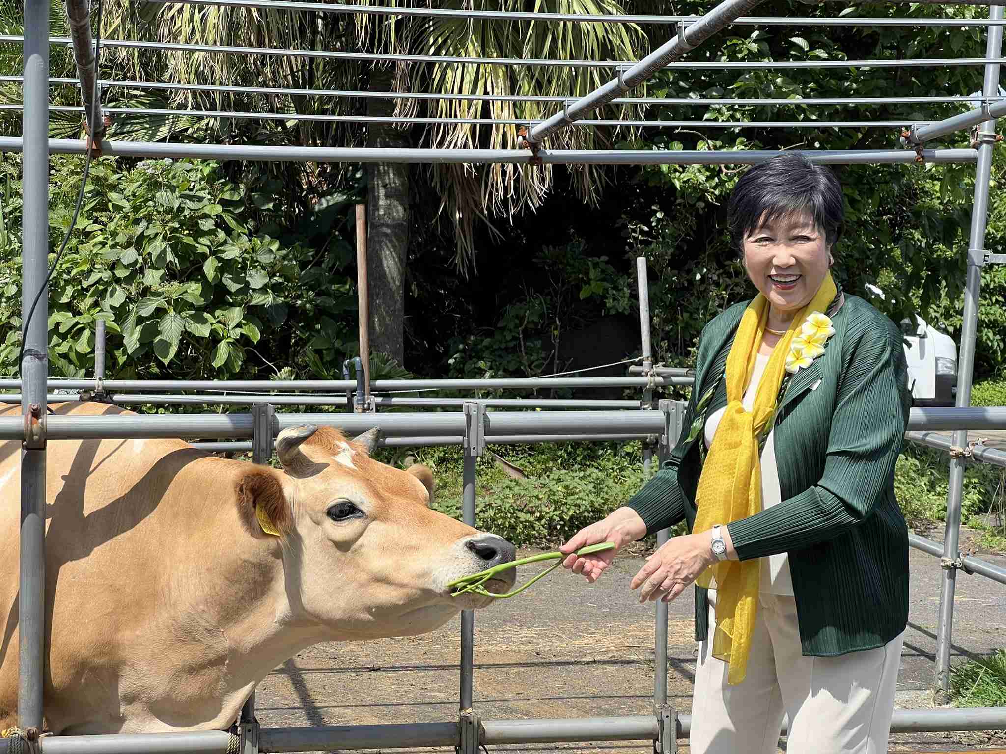 現職・小池百合子氏が当選確実、3期目へ　東京都知事選挙　与党票の大半固め安定した戦い　石丸氏は無党派層の4割固めるも及ばず