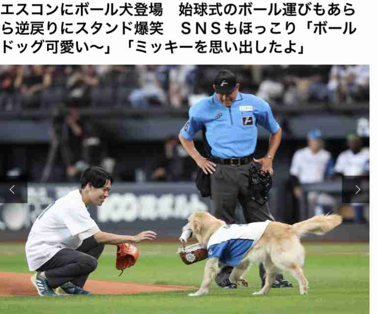 日本ハムファイターズ応援トピ