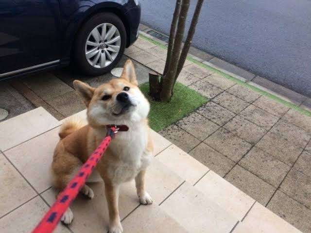 「帰宅拒否」の原因は“妻だけにあらず”? 夫たちの「家に帰りたくない理由」から浮かび上がる、もう一つの視点
