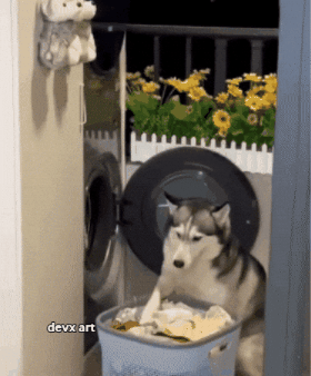 【天気いいね☀️】洗濯した人だけが書き込めるトピ