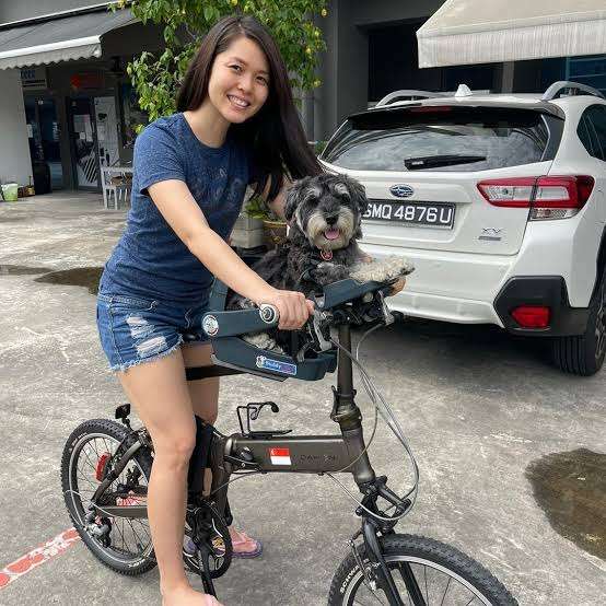 犬を自転車に乗せている方いますか?