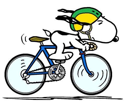 犬を自転車に乗せている方いますか?