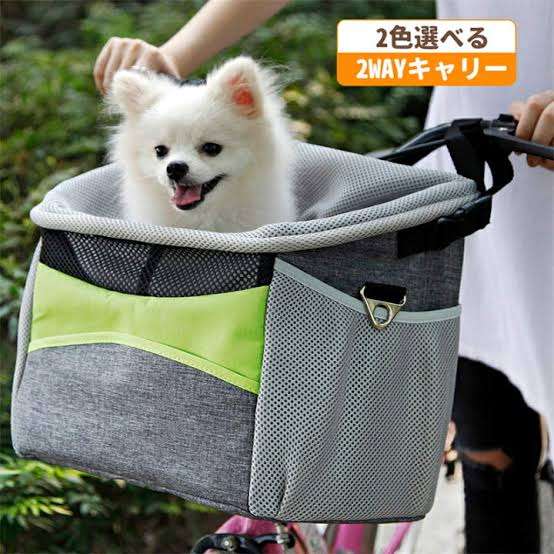 犬を自転車に乗せている方いますか?