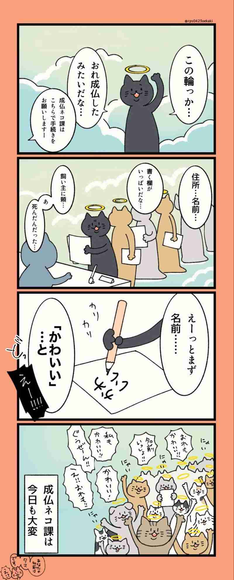 ペット目線からの飼い主あるある