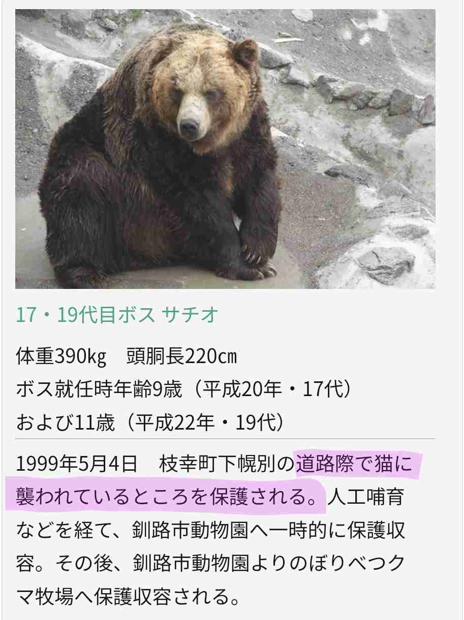 クマ注意のポスター「かわいすぎて怖さ伝わらないのでは」…秋田で３万枚超配布、県側「確かにご指摘の通り」