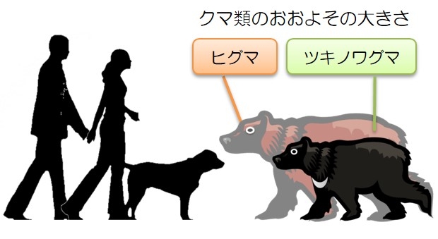 クマ注意のポスター「かわいすぎて怖さ伝わらないのでは」…秋田で３万枚超配布、県側「確かにご指摘の通り」