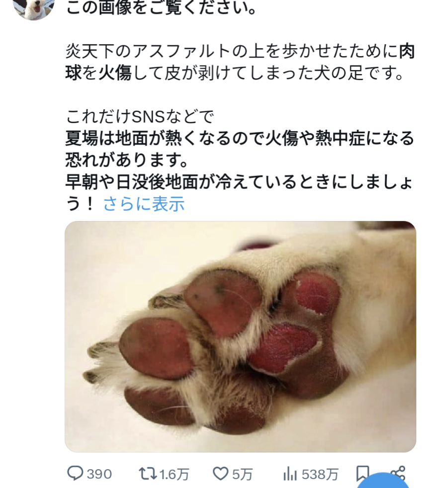 炎天下の昼、コンビニの前につながれた犬を発見「心が苦しく」　意を決して飼い主に注意　「その勇気」と共感殺到