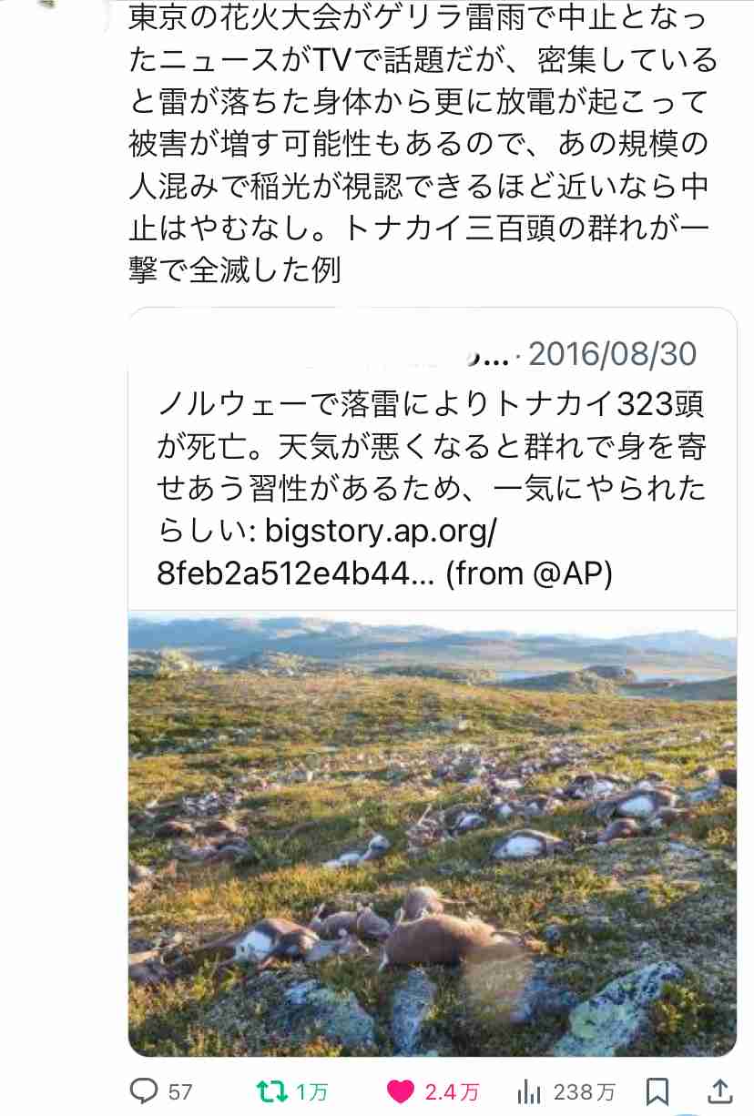 「損失は3000万円」ギリギリ中止発表が賛否を呼んだ「足立の花火」主催者が明かした「苦渋の決断」