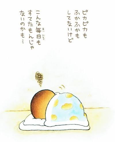 2024年上半期オススメの本