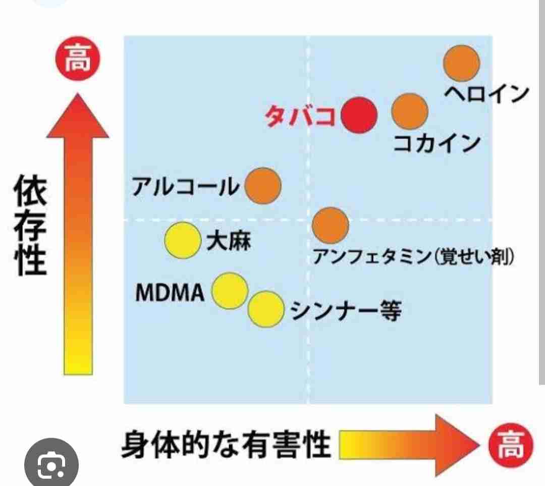 体操の宮田笙子主将、喫煙疑惑で離脱　パリ五輪出場は不透明