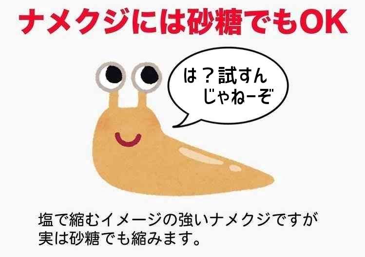 中谷美紀：オーストリアの山荘を公開　ゴミ収集は「2週間に一度」　田舎暮らしで「おおらかさが身につきました」