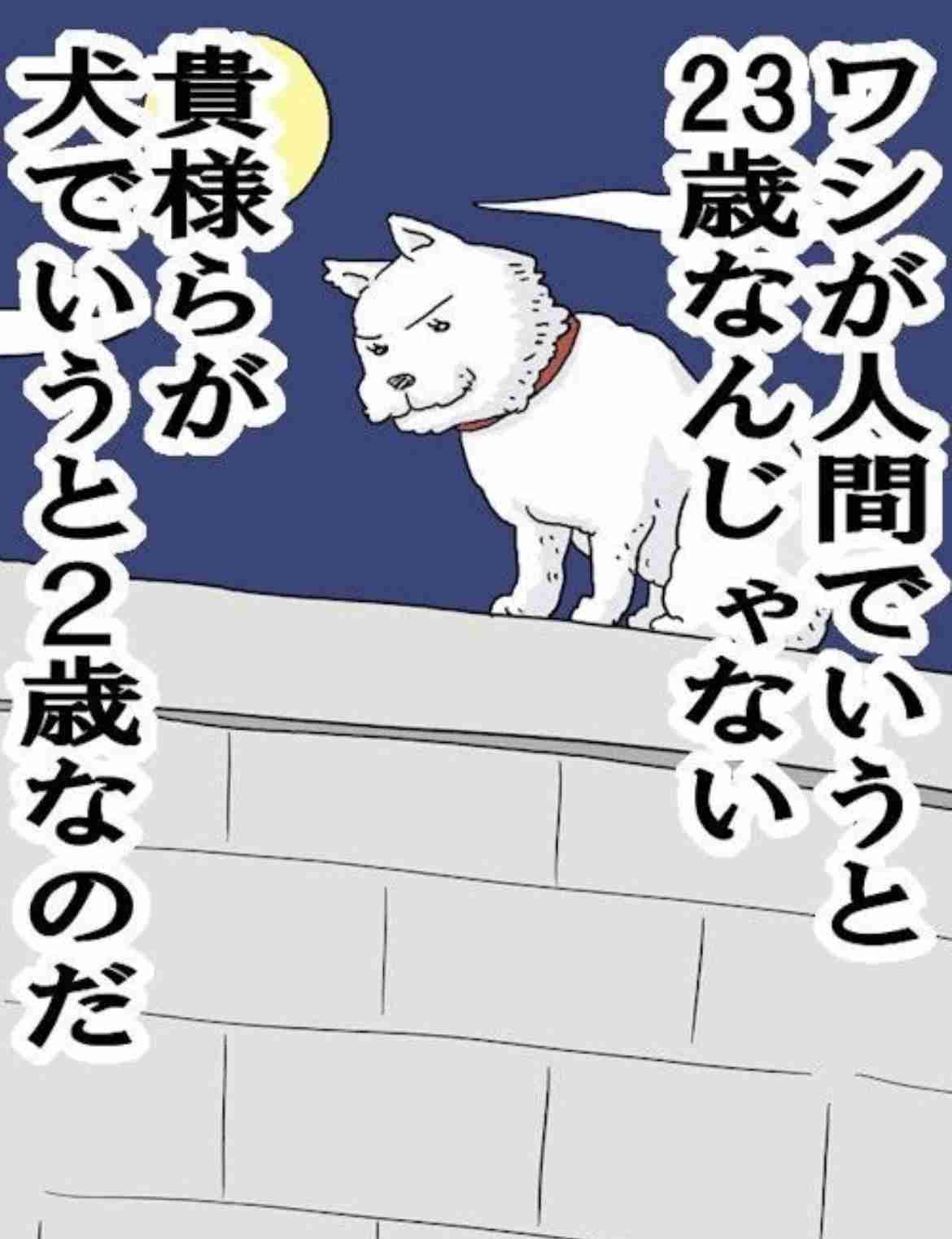 思わず保存してしまった漫画のセリフ　part2