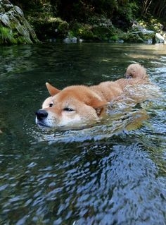 猛暑の時の居場所【自宅職場以外】