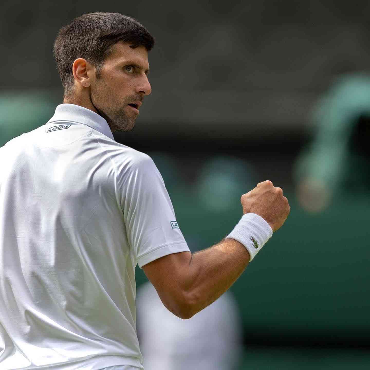 【実況・感想】ウィンブルドンテニス2024🎾男子シングルス決勝「カルロス・アルカラス×ノバク・ジョコビッチ」