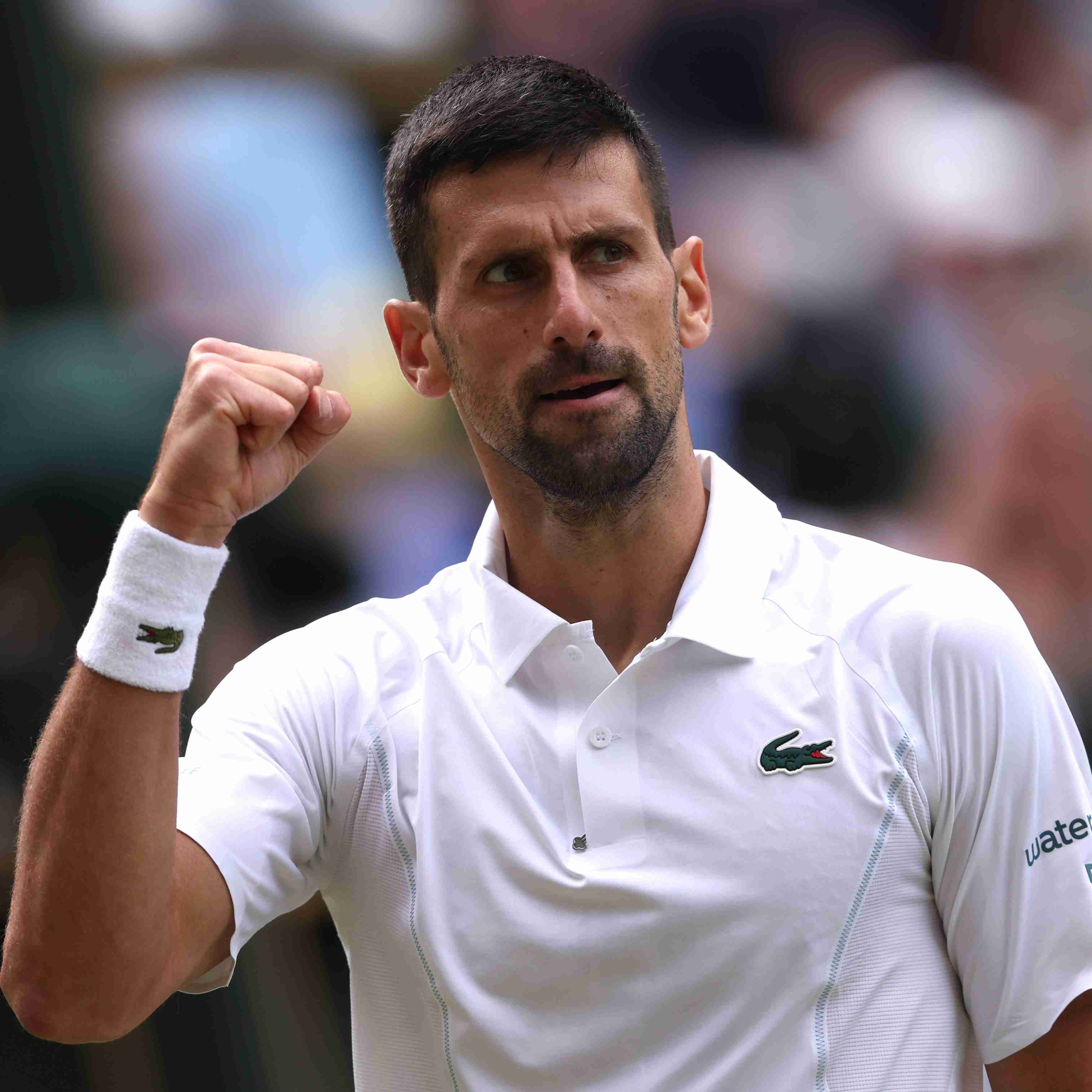 【実況・感想】ウィンブルドンテニス2024🎾男子シングルス決勝「カルロス・アルカラス×ノバク・ジョコビッチ」