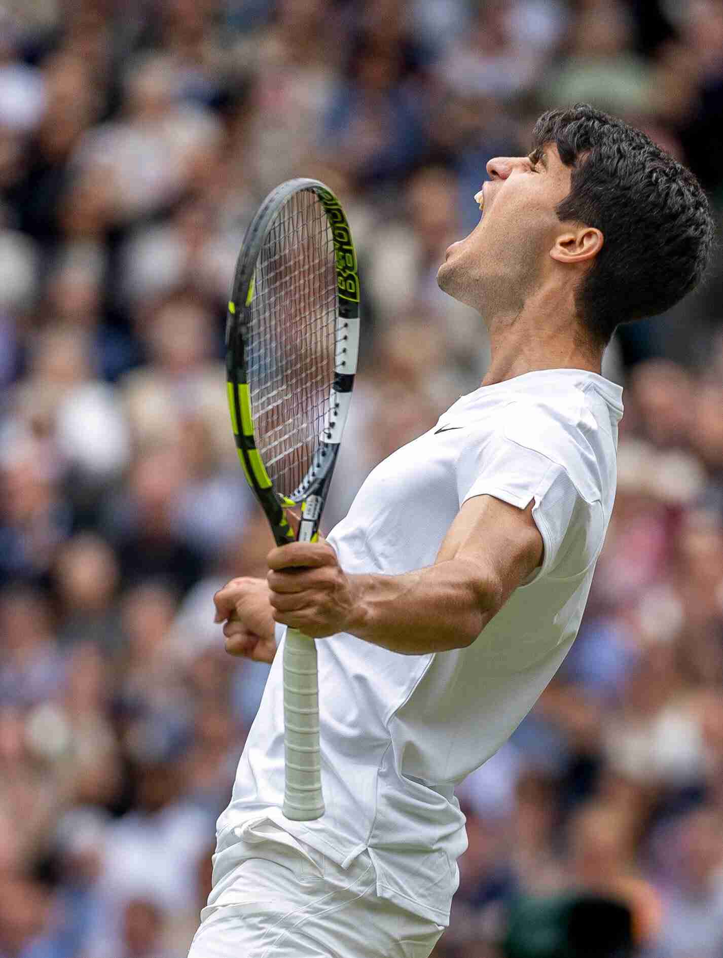 【実況・感想】ウィンブルドンテニス2024🎾男子シングルス決勝「カルロス・アルカラス×ノバク・ジョコビッチ」