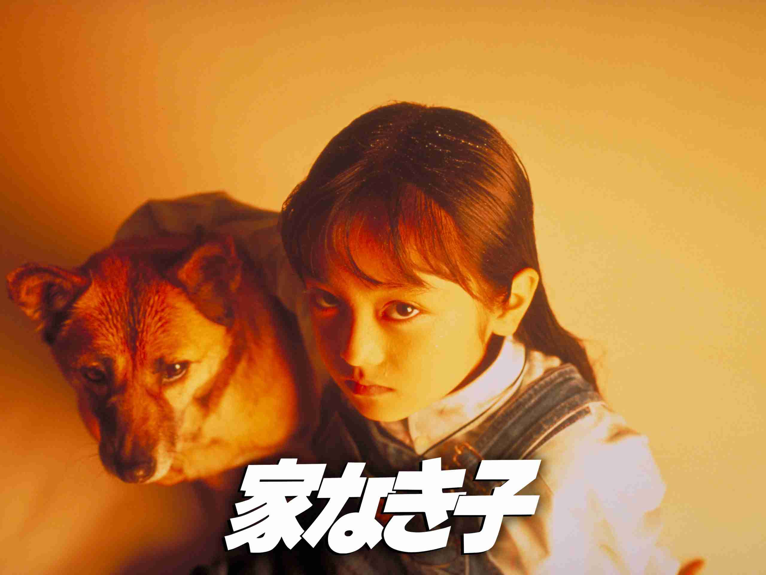 ドラマ「家なき子」を語ろう