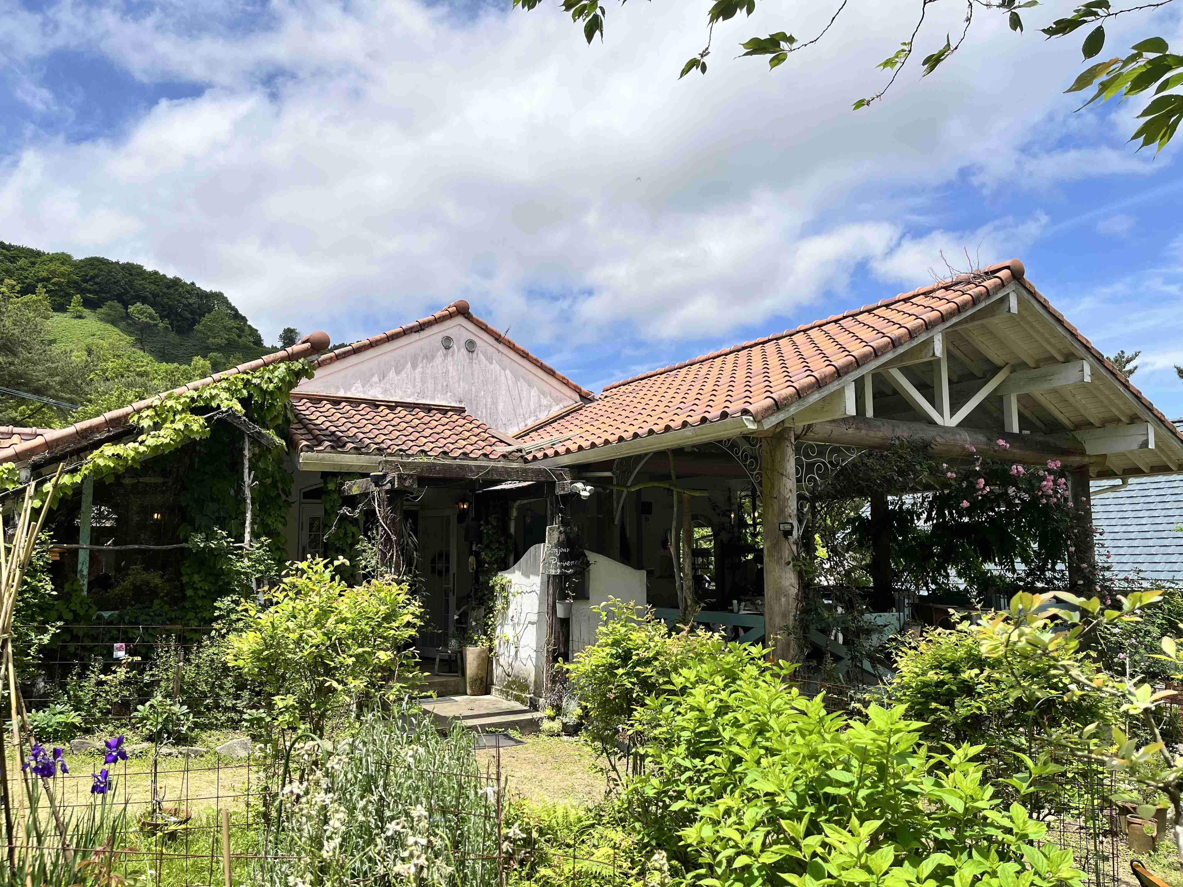 熊本旅行のおすすめ教えてください！