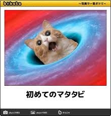 騙されたと思って