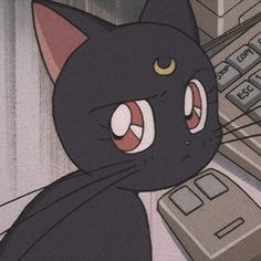 黒猫が好き！