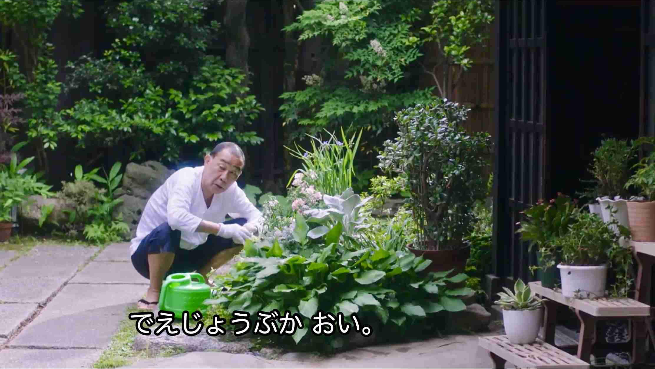 【ドラマ】「ひだまりが聴こえる」を語ろう 