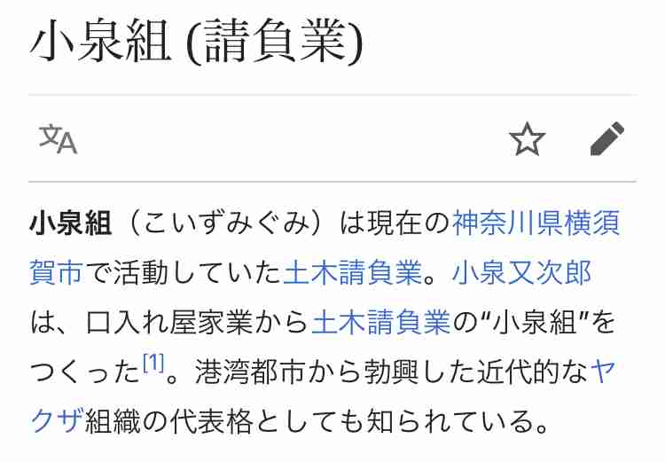 都知事選の争点「東京一極集中」問題は40年前から進展せず…小泉政権のツケ“ブラックホール型自治体”の深刻度
