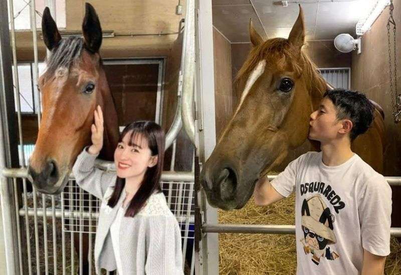 芸能人の兄弟姉妹が見たい part6