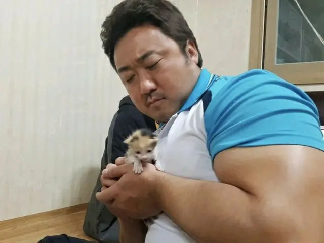 【ねこに転生したおじさん】ねこおじ好きな人~!