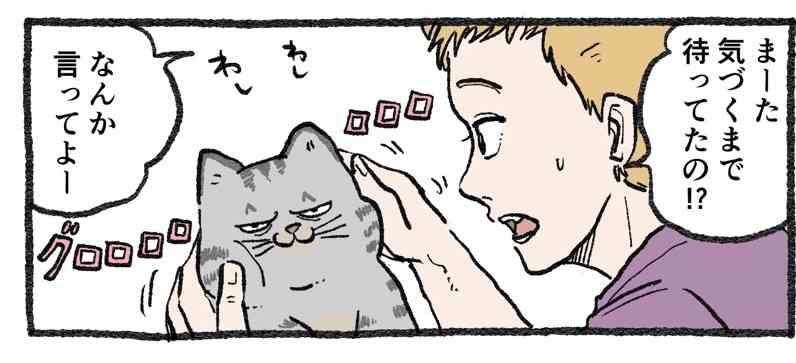 【ねこに転生したおじさん】ねこおじ好きな人~!