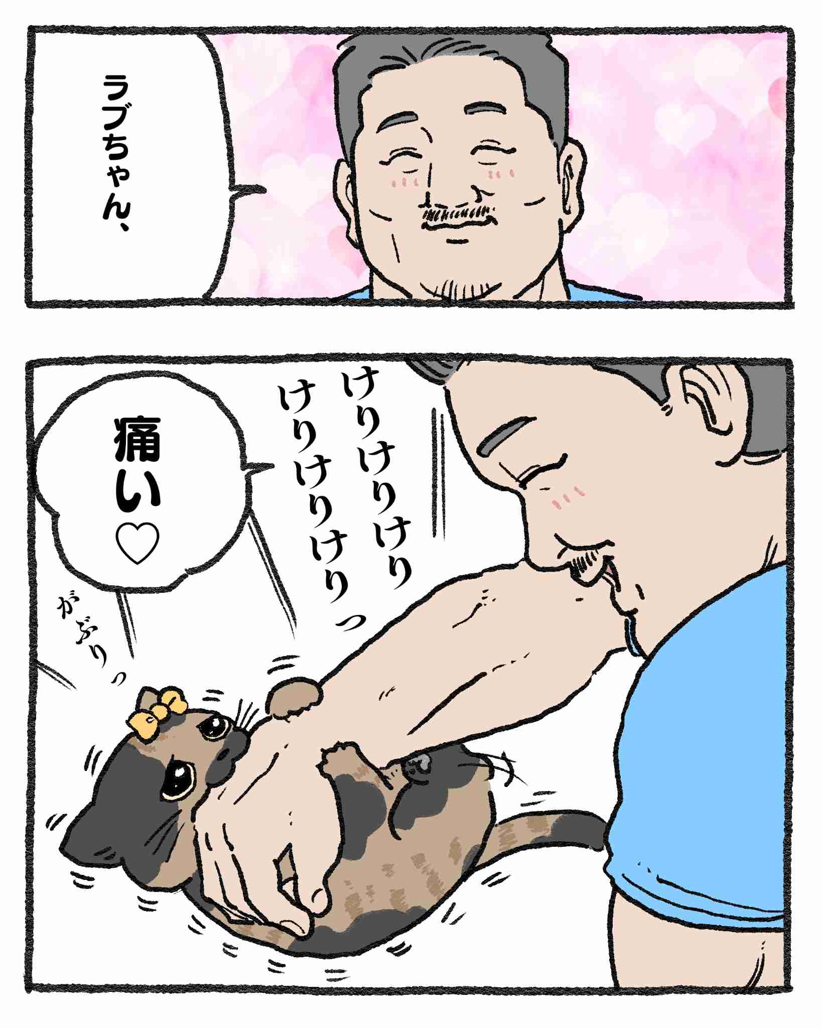 【ねこに転生したおじさん】ねこおじ好きな人~!