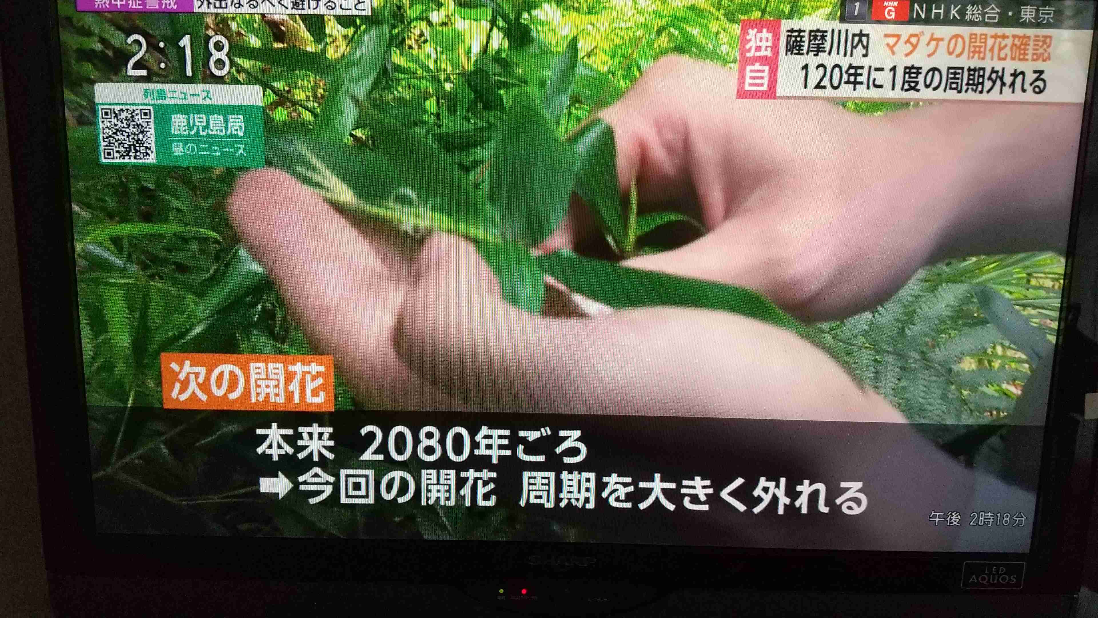 地震の予言、予知、前兆を真面目に語りたいpart25