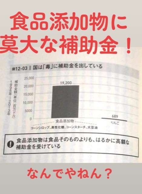 教養が身につく本 真面目オンリー