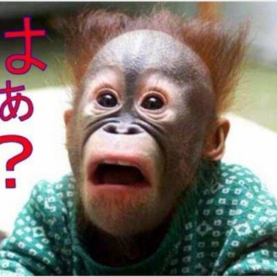 【ネタ】J-POPの歌詞に出てくる登場人物になりきって悩み相談するトピpart2