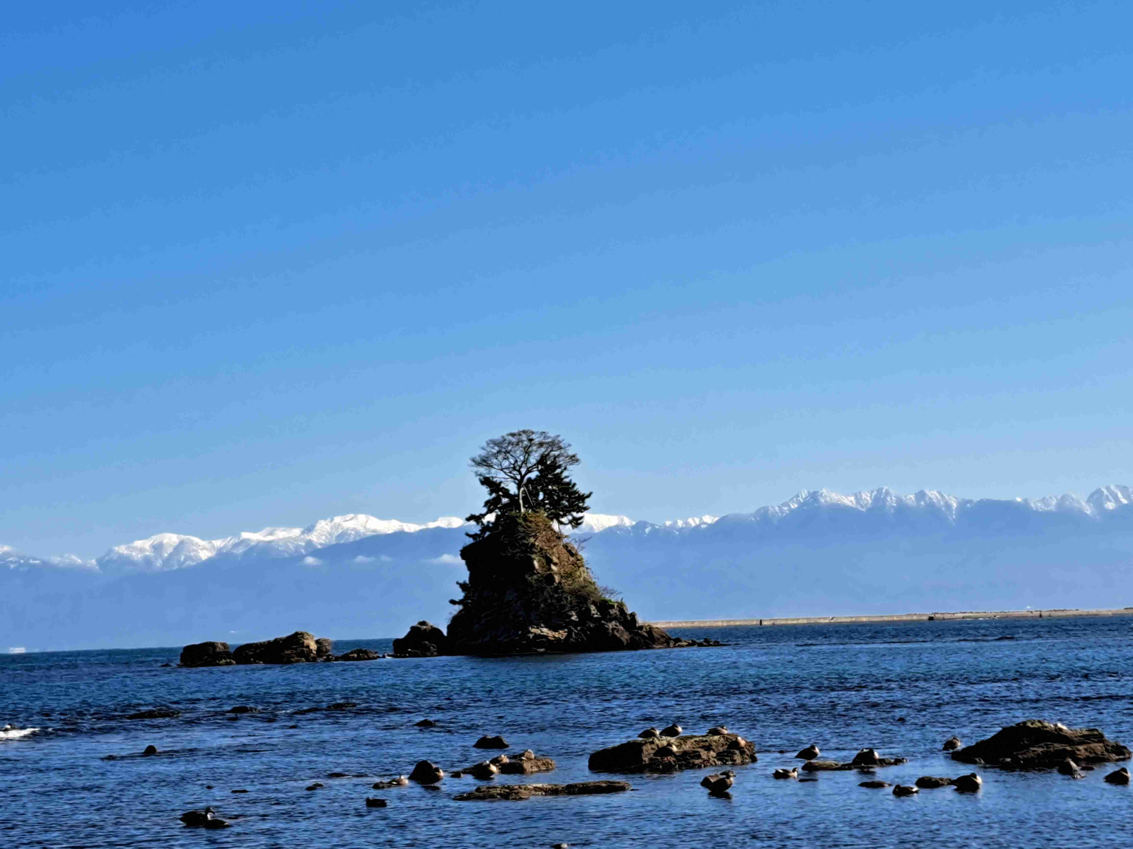 富山県について知っていること