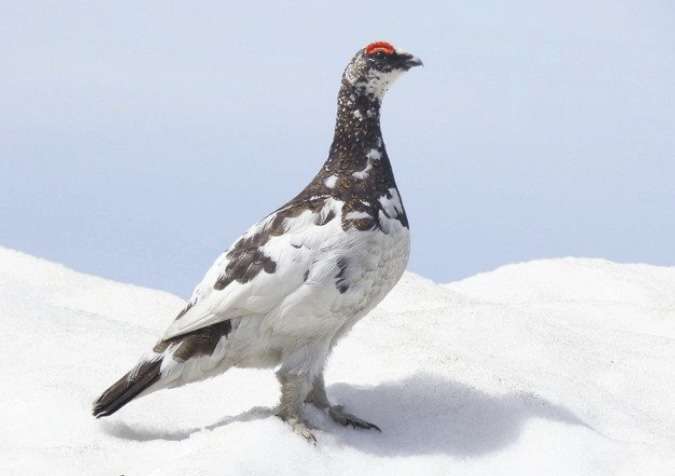 富山県について知っていること