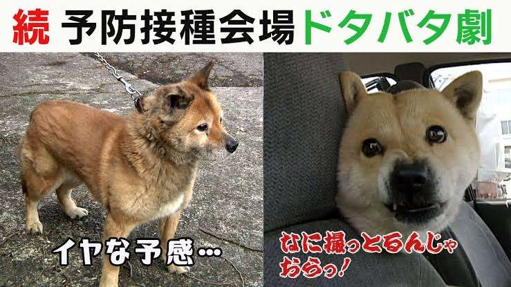 富山県について知っていること