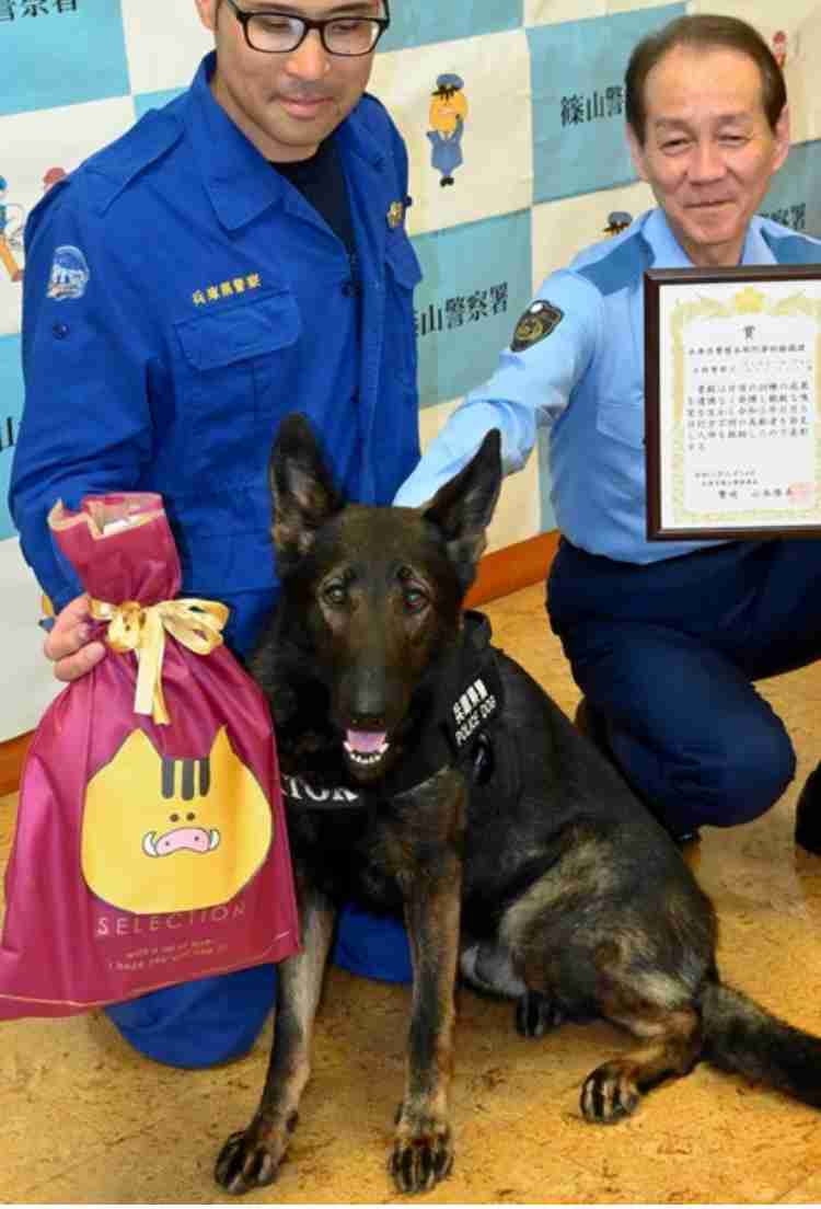 枕のにおい嗅ぎわずか16分、鼻先向けると…　警察犬ヴィクトール号、尼崎で不明者を発見