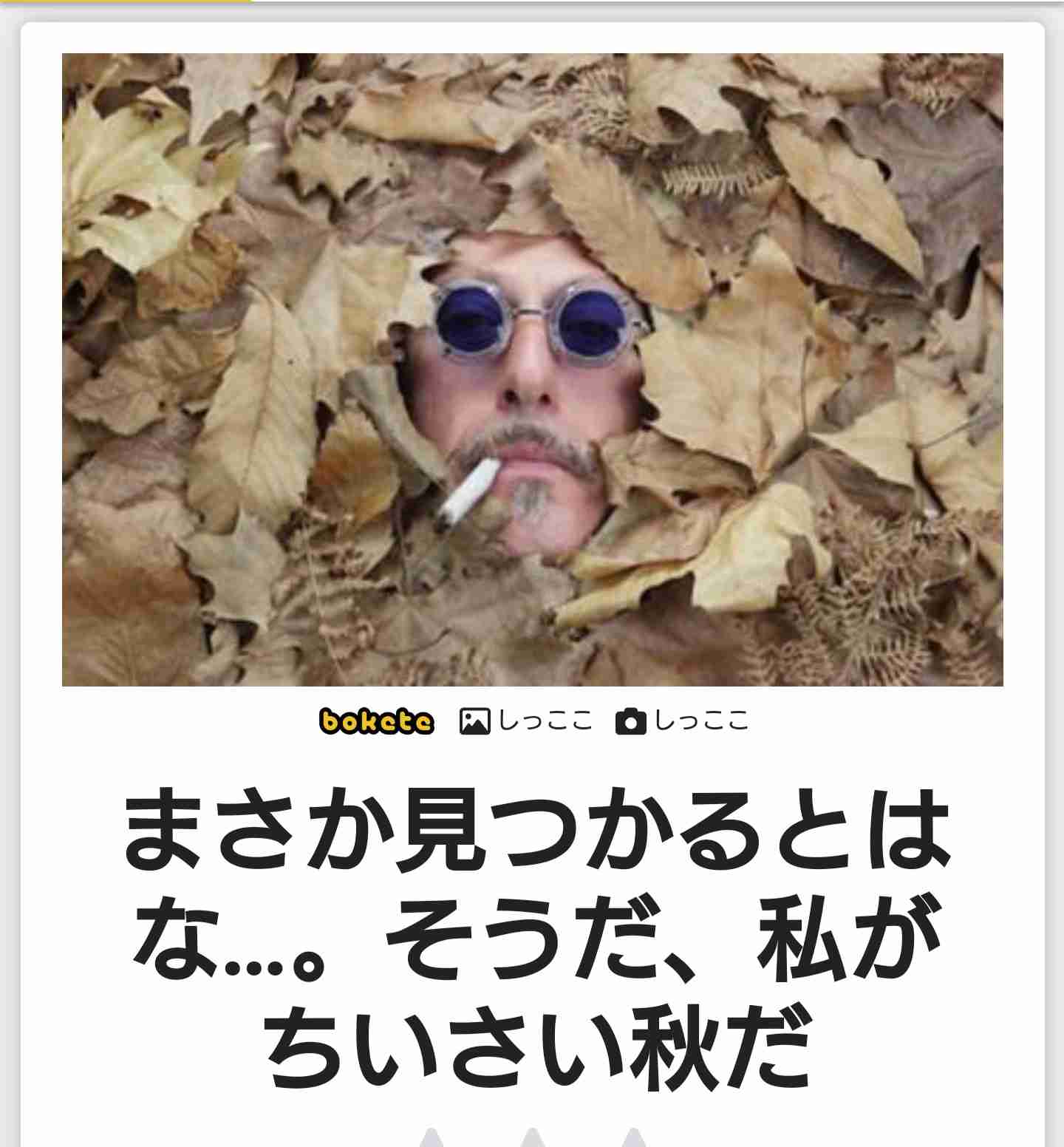 どこかに何かが隠れているような画像