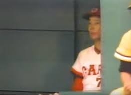 どこかに何かが隠れているような画像