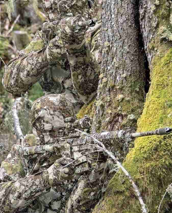 どこかに何かが隠れているような画像