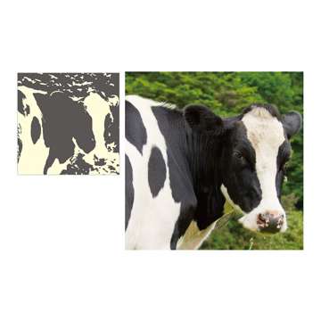 どこかに何かが隠れているような画像