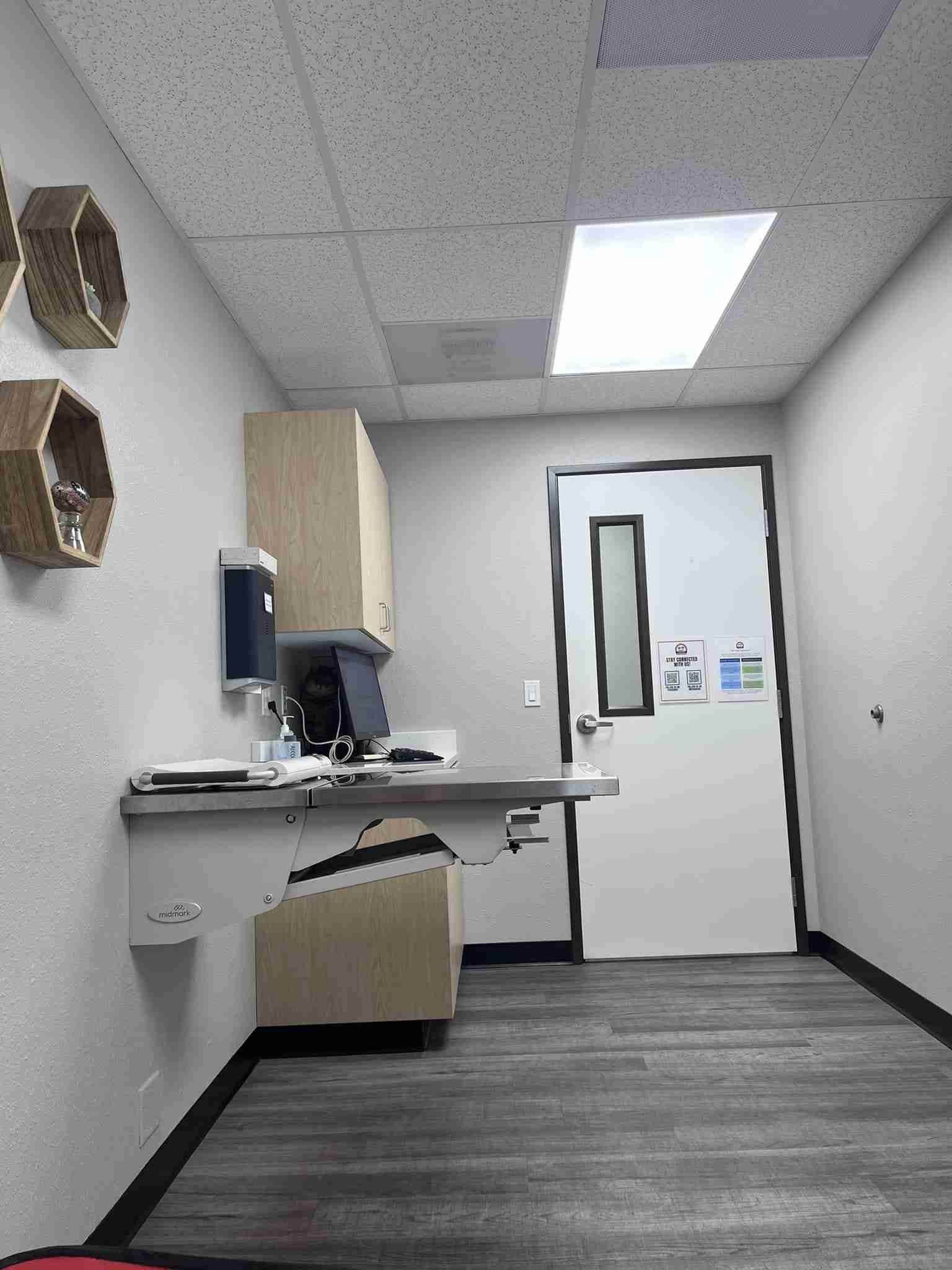 どこかに何かが隠れているような画像