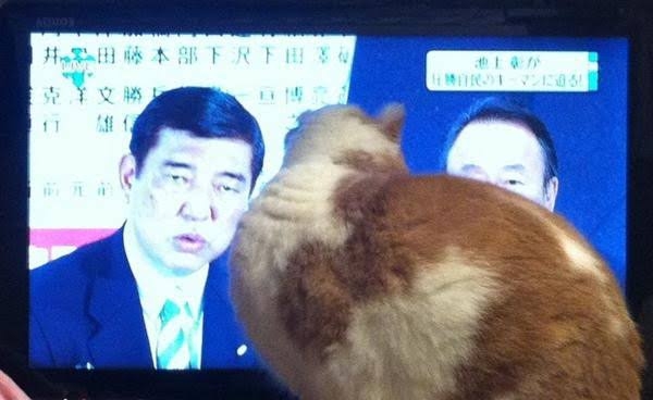 自民党総裁選　石破茂元幹事長が地元・鳥取の神社で立候補表明「38年間の政治生活の集大成、最後の戦い」