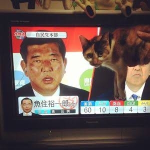 自民党総裁選　石破茂元幹事長が地元・鳥取の神社で立候補表明「38年間の政治生活の集大成、最後の戦い」